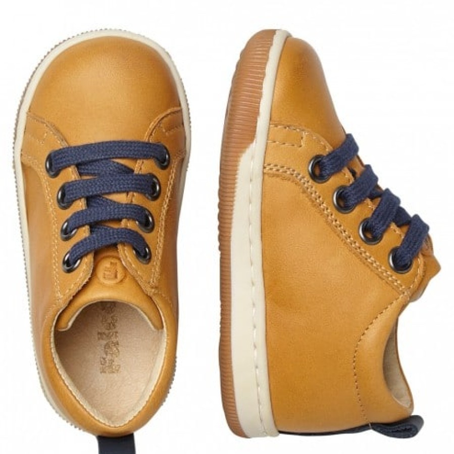 Ragazzo FALCOTTO | Falcotto Haley - Sneakers - Zucca-Navy