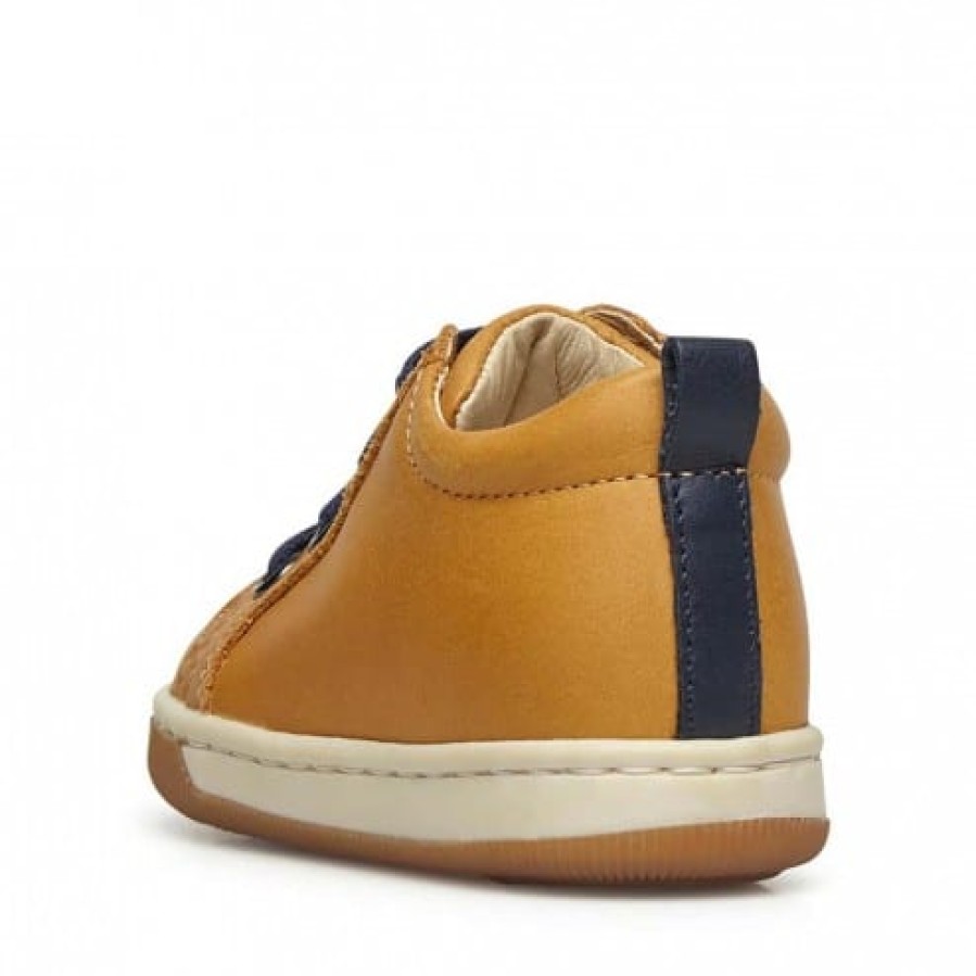 Ragazzo FALCOTTO | Falcotto Haley - Sneakers - Zucca-Navy